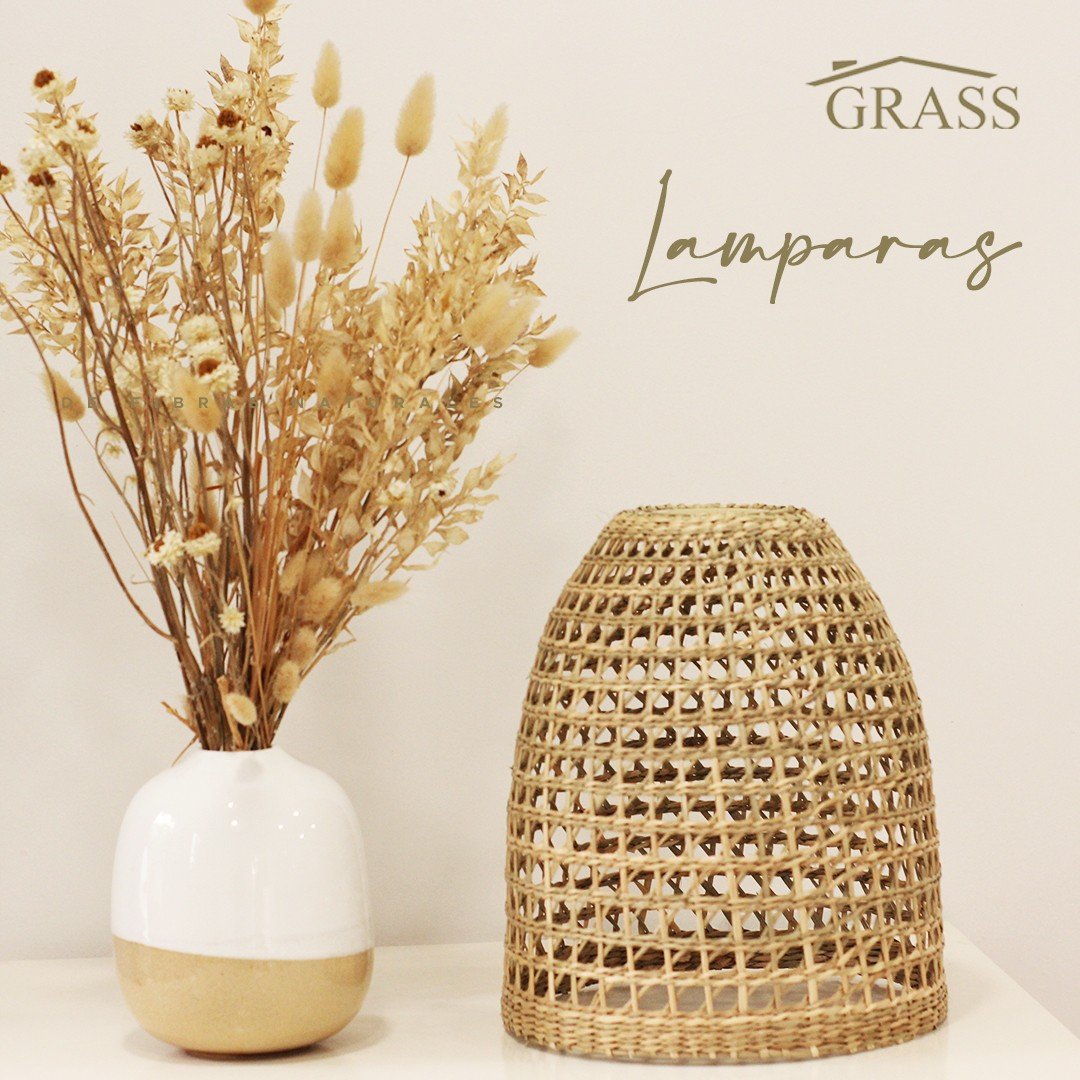 Pantalla de Seagrass Basil 25x27 - Image 3