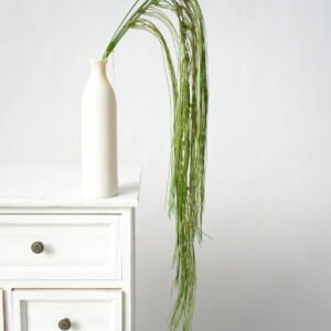 Planta Colgante Artificial Zeegrass Oscuro Cod 4008-3