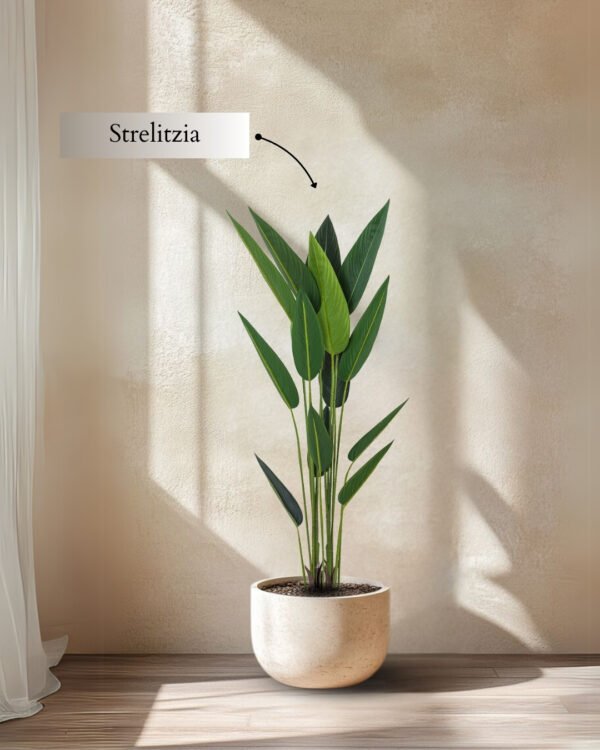 Planta Artificial Decorativa Strelitzia 150 cm Cod 40725 - Image 3