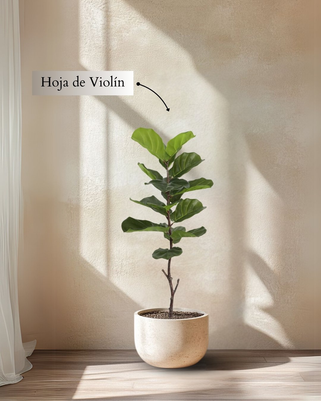 Planta Artificial Decorativa Hoja de Violín 120 Cm Cod 1095 - Image 3