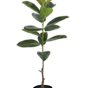 Planta Artificial Decorativa Ficus Gomero 120 Cm Cod 1113