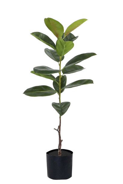 Planta Artificial Decorativa Ficus Gomero 120 Cm Cod 1113