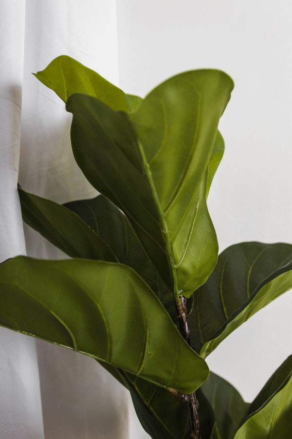Planta Artificial Decorativa Hoja de Violín 155 Cm Cod 1093 - Image 2