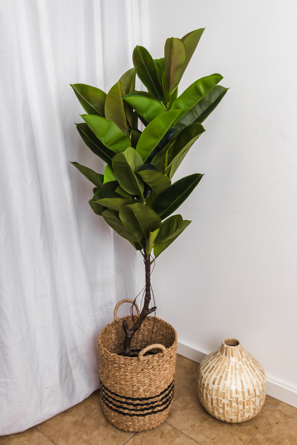 Planta Artificial Decorativa Ficus 150 Cm Cod 1117 - Image 2