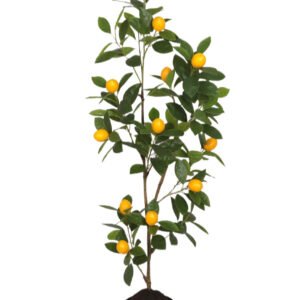 PLANTA ARTIFICIAL DECORATIVA CALIDAD PREMIUM AAA