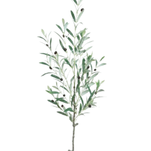 Planta Artificial Decorativa Olivo 120 Cm Cod 1312