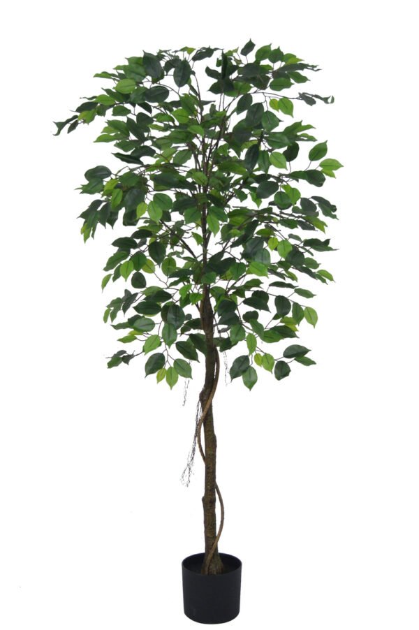 Planta Artificial Decorativa Árbol Ficus Benjamina 160 Cm Cod 8911 - Image 2
